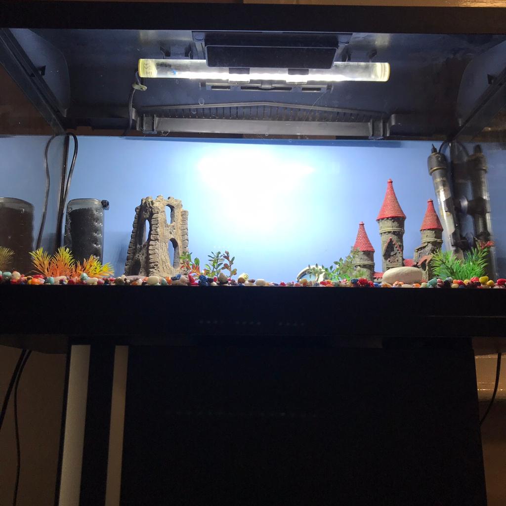 2 foot fish tank complete setup in TS1 Middlesbrough for £75.00 for