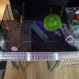 Large hamster cage with tubes and wheel. Is. In a god used condition. Comes with a bag of accessories, a new bag of food, small amount of sawdust. No longer needed as our hamster has gone to the big hamster wheel in the sky!

Offers welcome and local delivery possible.