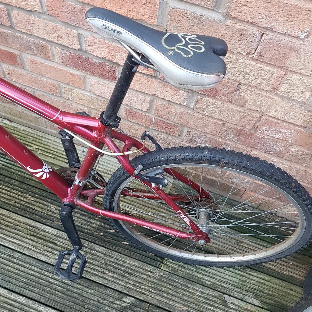 muddyfox rival