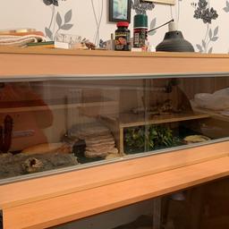 Vivarium Bearded Dragon 4ft With Extras Inside. Used.


Will be deep cleaned before sold. Selling as my bearded dragons have custom tanks built for them.

Great vivarium, my beardie has lived happily in it for 2 and a half years.

All ready to use. All lights replaced within last month.


Height - 1.45ft

Width - 4ft

Depth - 1.54ft


Would have to be collected from Maghull.