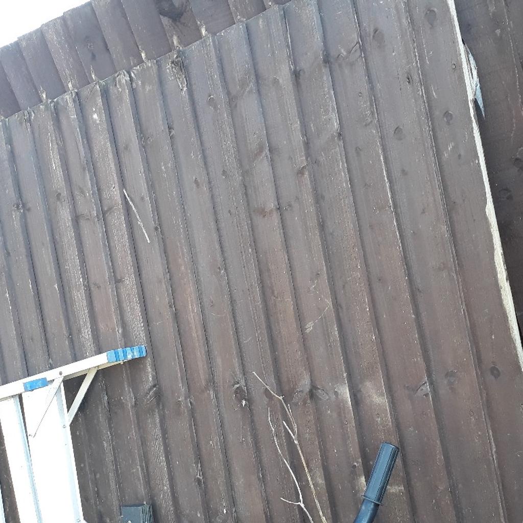 fence panels in Luton für 15,00 £ zum Verkauf Shpock DE