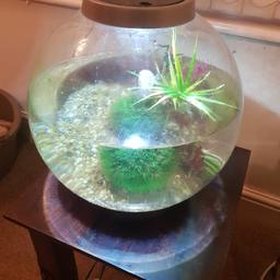 Biorb 30L fish tank in good working condition.

included is pump, heater. light & plastic plants.

Collection Woodlesford.

any questions please ask