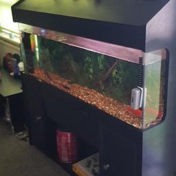 4ft widex4ft highx11inch deep comes with pump heater air stone and pump 1 goldfish 1 red tail shark 1 pleko