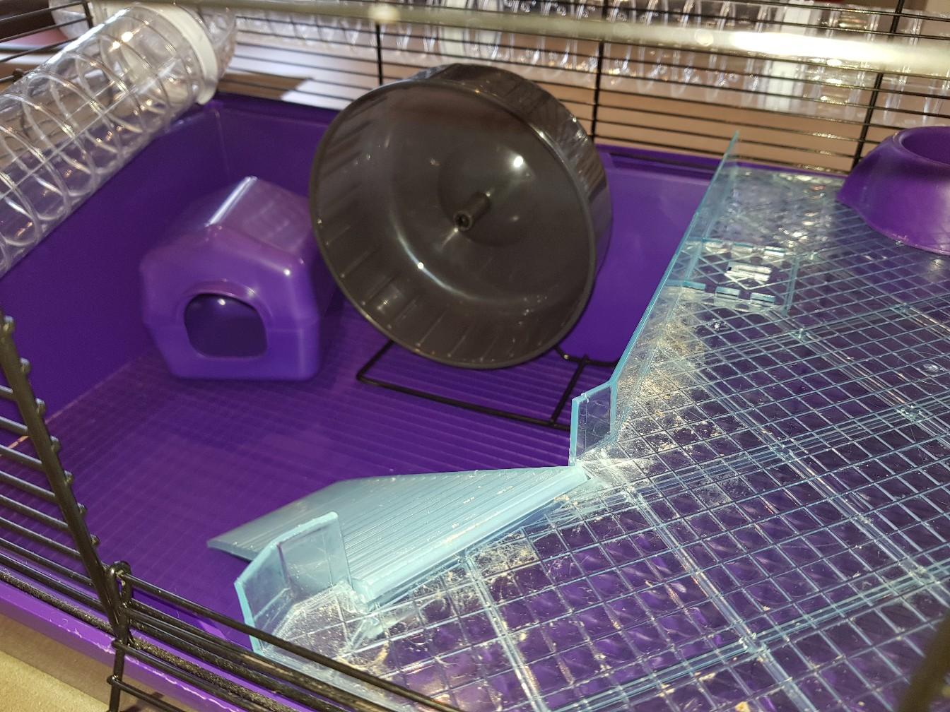 Hamster cage in Sheffield für 15,00 £ zum Verkauf Shpock DE