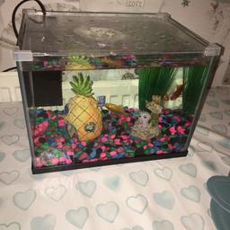 Here we have a great starter fish tank only a couple of months old