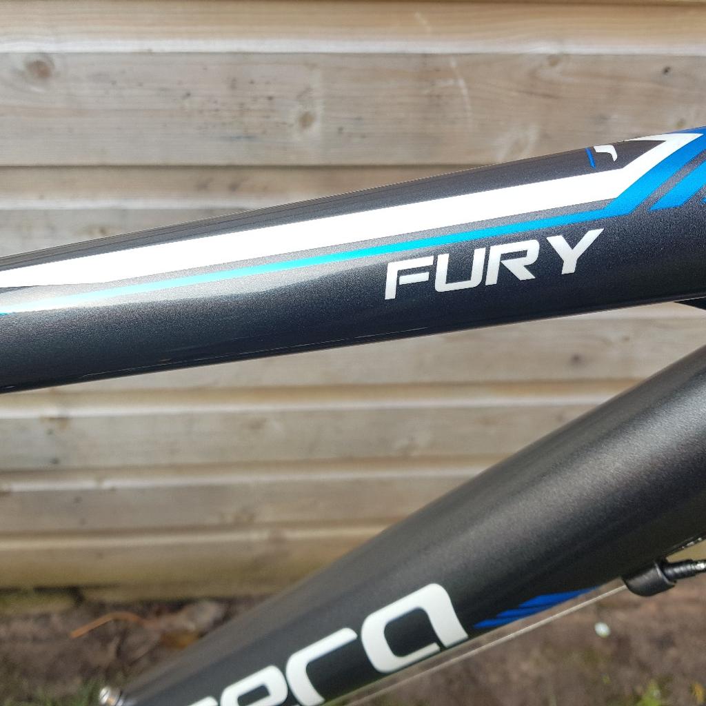 carrera fury black and blue