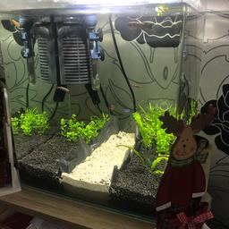 Nano aquarium 40l ohne kratzen, mit LED licht, filter, schwarze Kies,perfekt für Garnelen oder Betta Kampffisch wahr nur 6 Wochen in betrieb