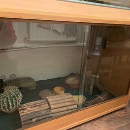 PRICE IS HIGH SO PEOPLE CAN OFFER. Didn’t want to put it low then someone offers me something silly like a £10.

Will be cleaned before collection.
Viv is

3ft - width
2ft - height
2ft - depth

Comes with lighting and everything in pictures besides reptile carpet. I have had my bearded dragon in this, selling due to buying a new tank for him. As you can see the bulbs work, they were only changed a few weeks ago. If I have any spare bulbs or dishes etc you can have them too

Looking to sell ASAP