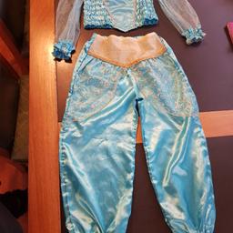 disney princess Jasmine dress up outfit
great condition
age 7-8
pick up Harold hill x