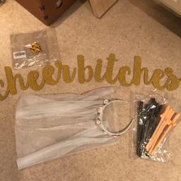 Hen party accessories includes a banner (new) selection of themed straws (new) & a veil