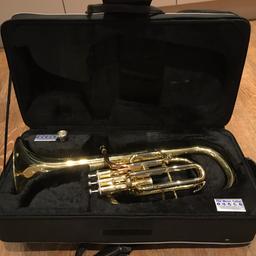 Elkhart tenor horn, perfect condition used for 6 months. Collection from wn3 or local delivery for a small extra cost. OPEN TO OFFERS