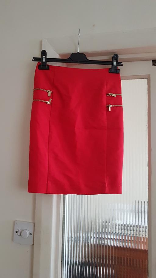  — ladies skirt