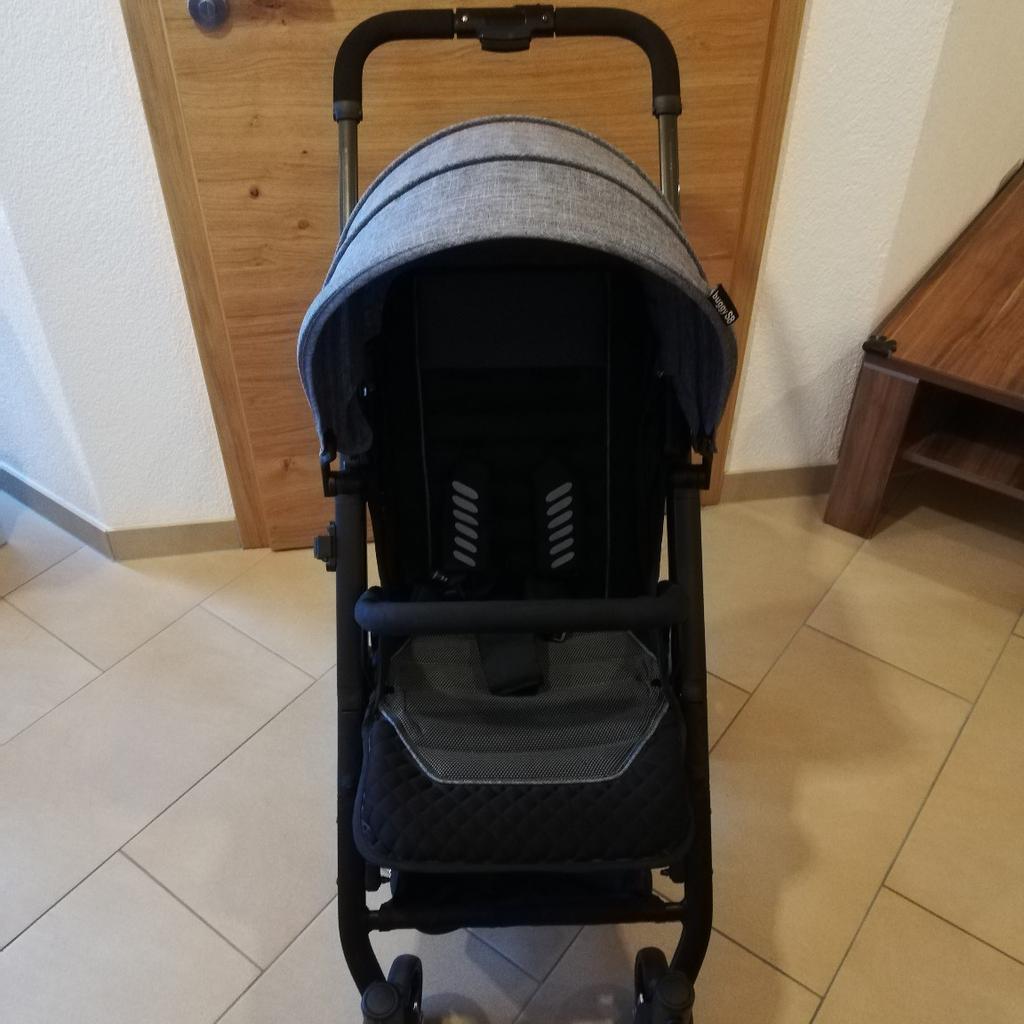 Gesslein 2024 s8 buggy