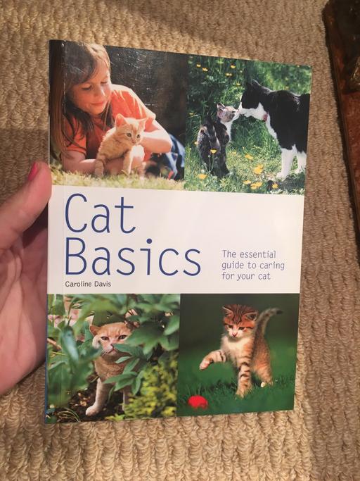 Buy & Sell South West London Merton - Photos for Cat basics book