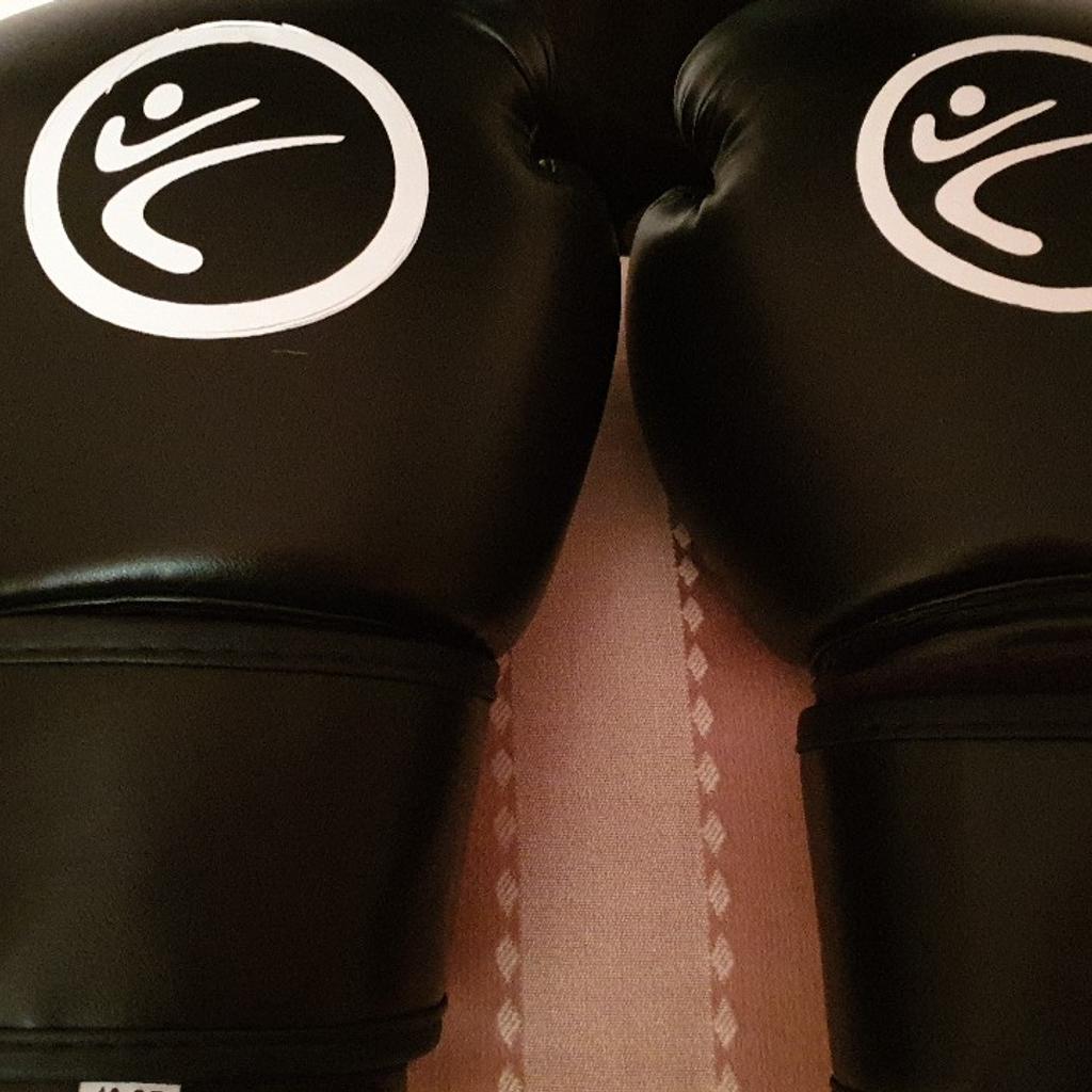 Boxing Gloves 10oz in CV5 Coventry für £ 15,00 zum Verkauf Shpock AT