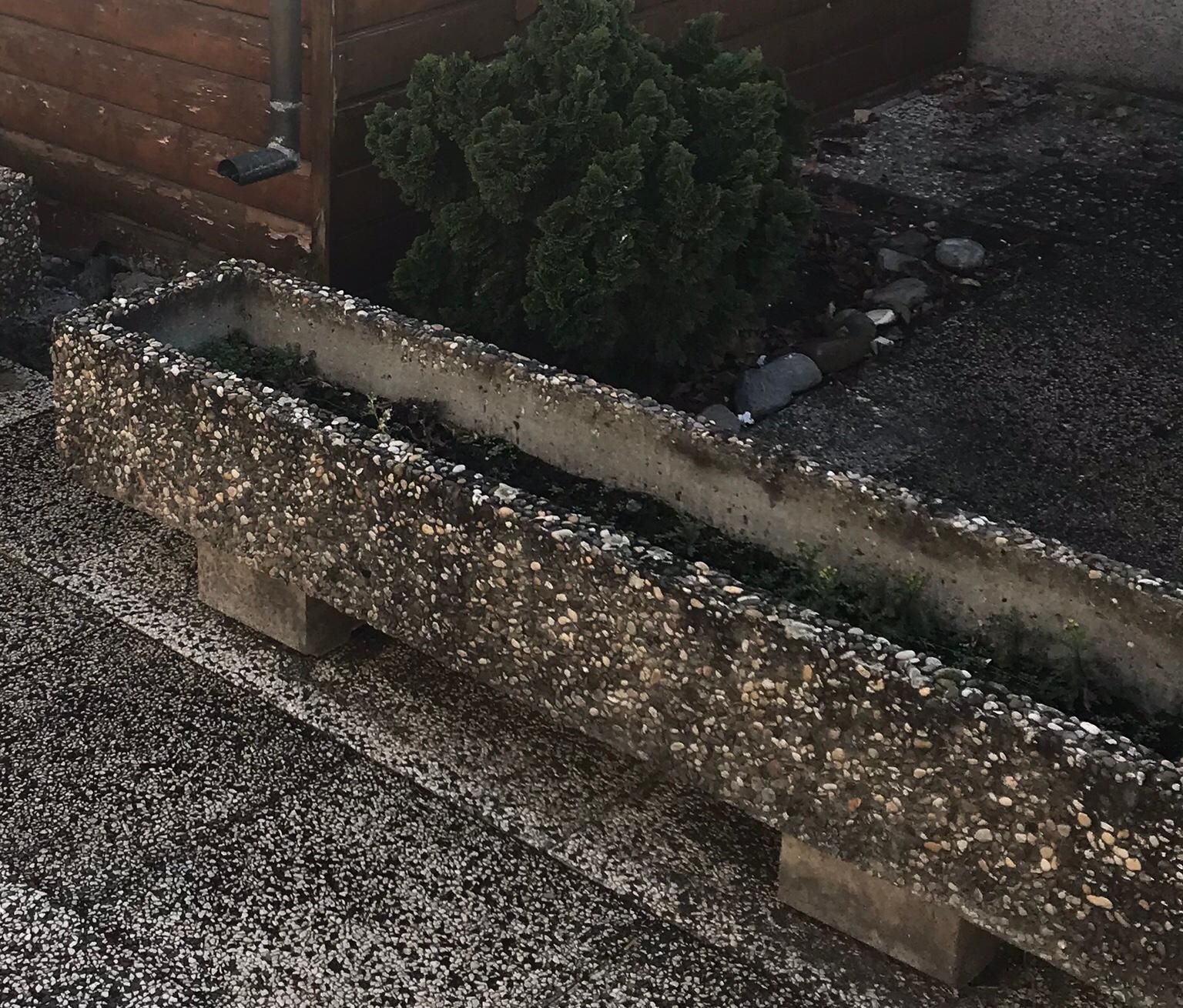 Blumenkübel aus Waschbeton, Waschbetonkübel in 68305 Mannheim für 100