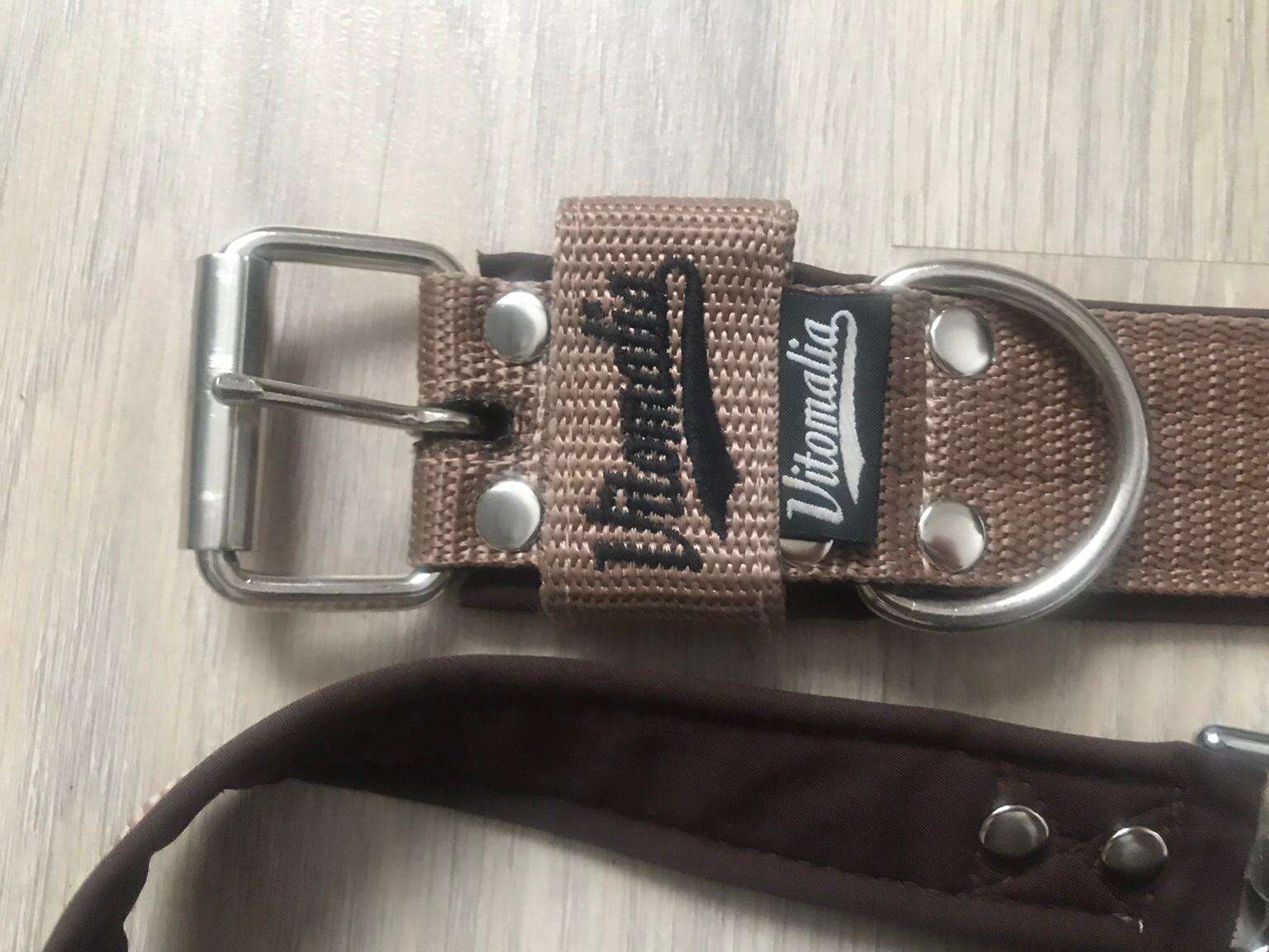 personalisiertes halsband Personalisiertes Hundehalsband inkl. Telefonnummer – Dogrocket Shop main image 1