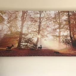 Large canvas in perfect condition.