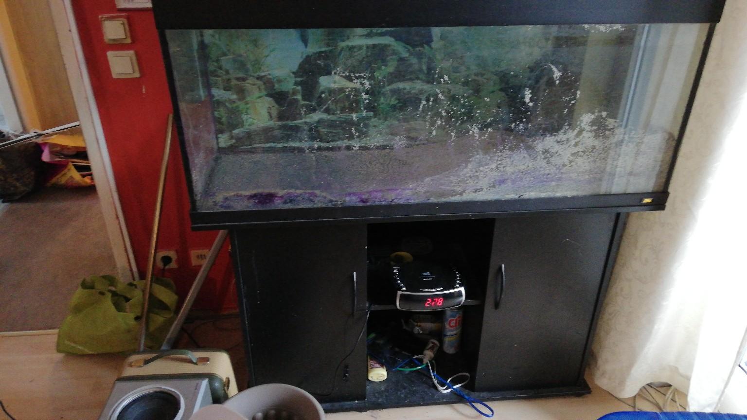 Aquarium zu verschenken in 1210 Wien für gratis zum Verkauf Shpock AT