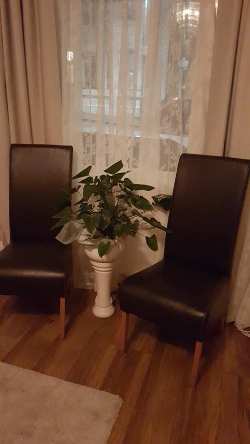 — dinning chairs