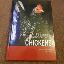 All you need to know about keeping chickens