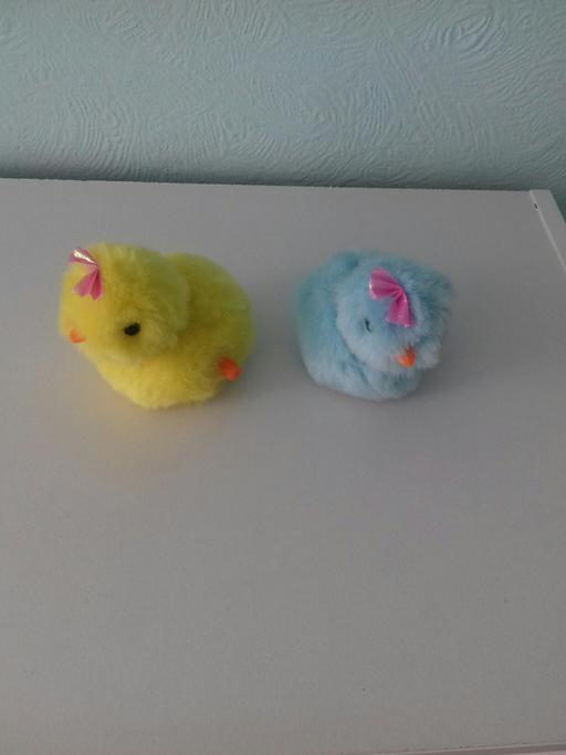 Buy & Sell Essex Southend-on-Sea - Photos for Easter chicks