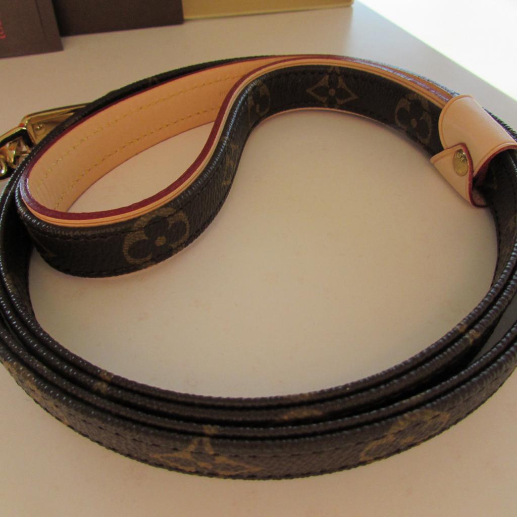 Louis Vuitton Hundeleine Baxter GM in 6850 Dornbirn fr 270,00  zum  Verkauf | Shpock DE