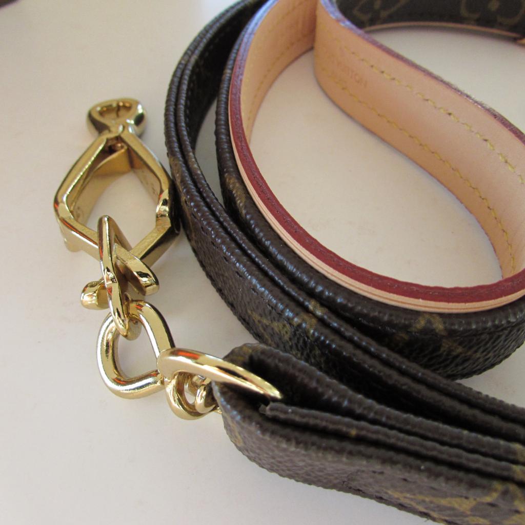 Louis Vuitton Hundeleine Baxter GM in 6850 Dornbirn fr 270,00  zum  Verkauf | Shpock DE