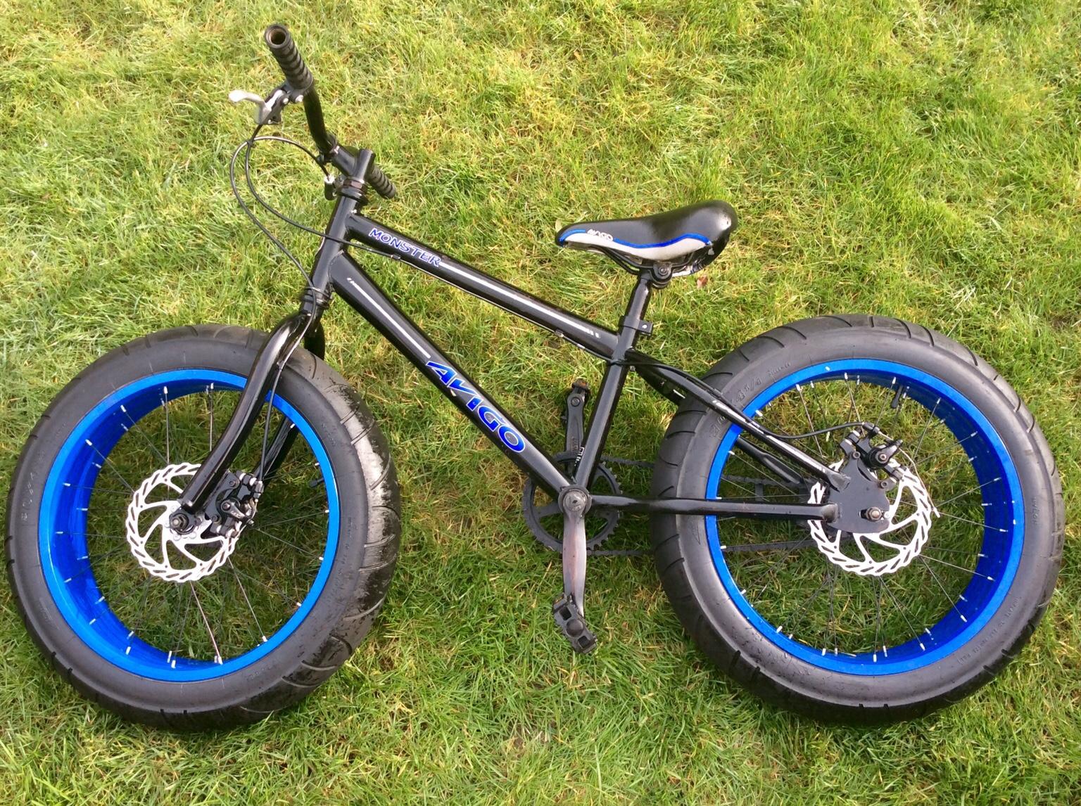 santa cruz v10cc price