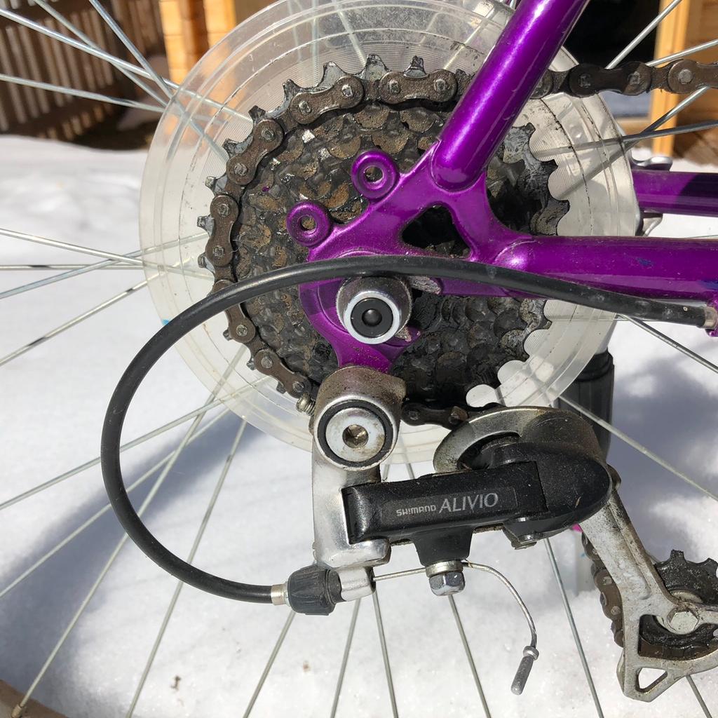 Wheeler Pro Line 2000 Mountainbike in 6105 Leutasch f r 100 00