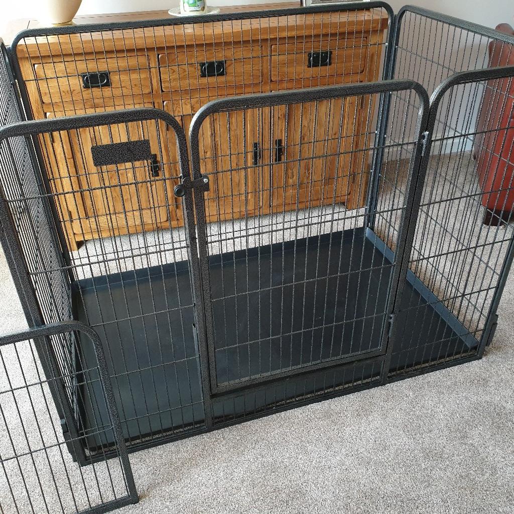 Crufts puppy outlet pen for sale