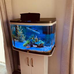 Fish tank for sale immaculate condition. Full set up buyer to collect

Tank stand, pump, filter , gravel , ornaments

Near Carnforth