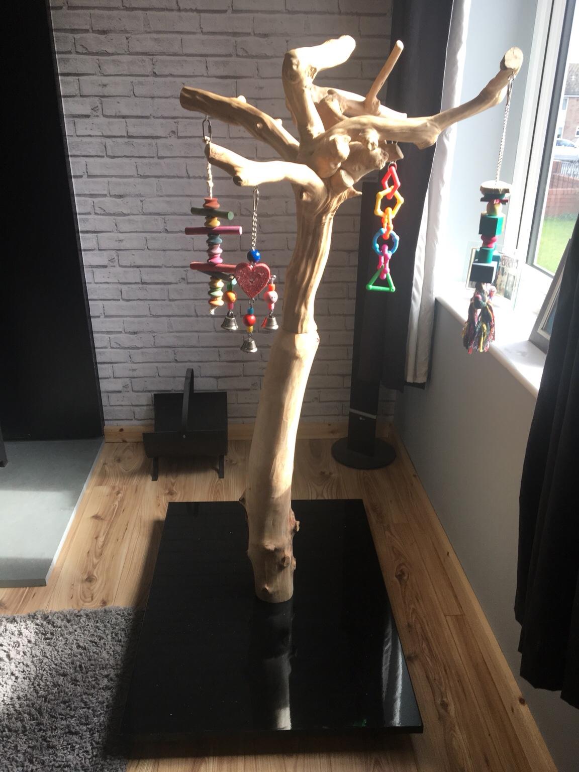 5ft tall java tree parrot stand in WA6 Frodsham for £250.00 for sale