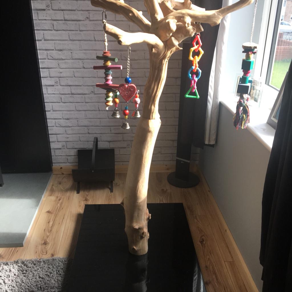 5ft tall java tree parrot stand in WA6 Frodsham for £250.00 for sale