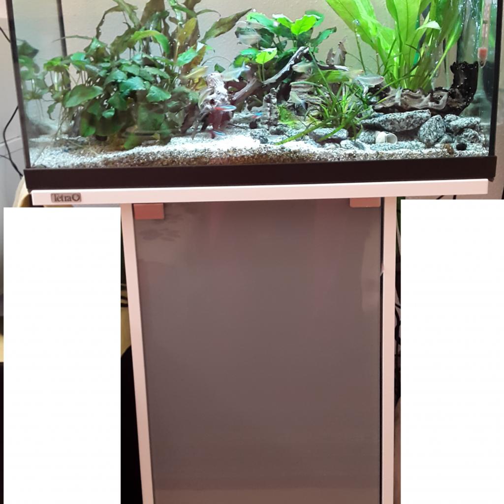 Juwel outlet Aquarium 60liter mit Unterschrank