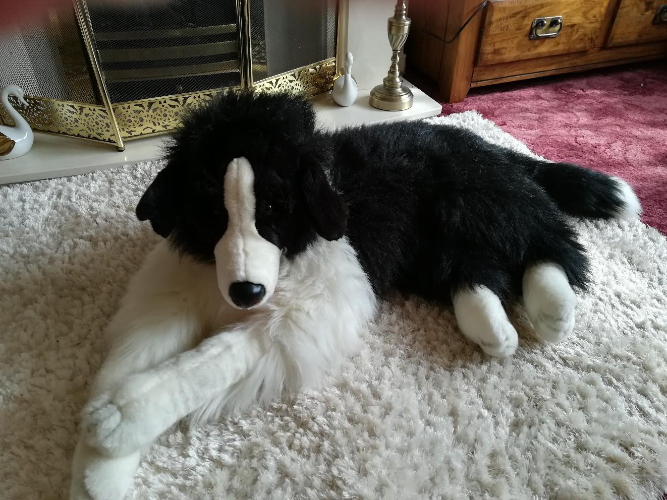 Large Cuddly Border Collie Plush Dog in WS10 Walsall for £5.00 for sale Shpock