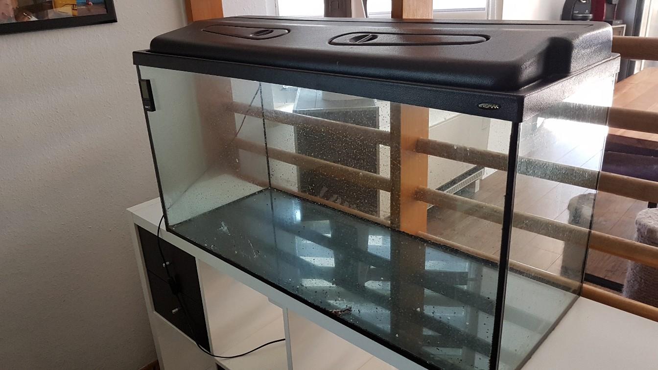 Mini Aquarium Mit Deckel - 12,4 Zoll Kunststoff Becken Für Fische