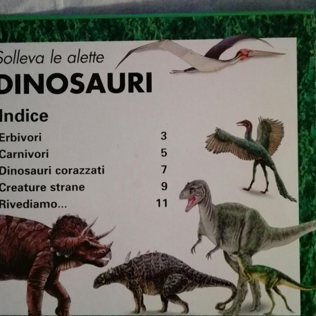 libro dinosauri con finestrelle sollevabili come da foto. Non adatto ai bambini con età inferiore ai 3 anni. NUOVO. Prezzo non trattabile.