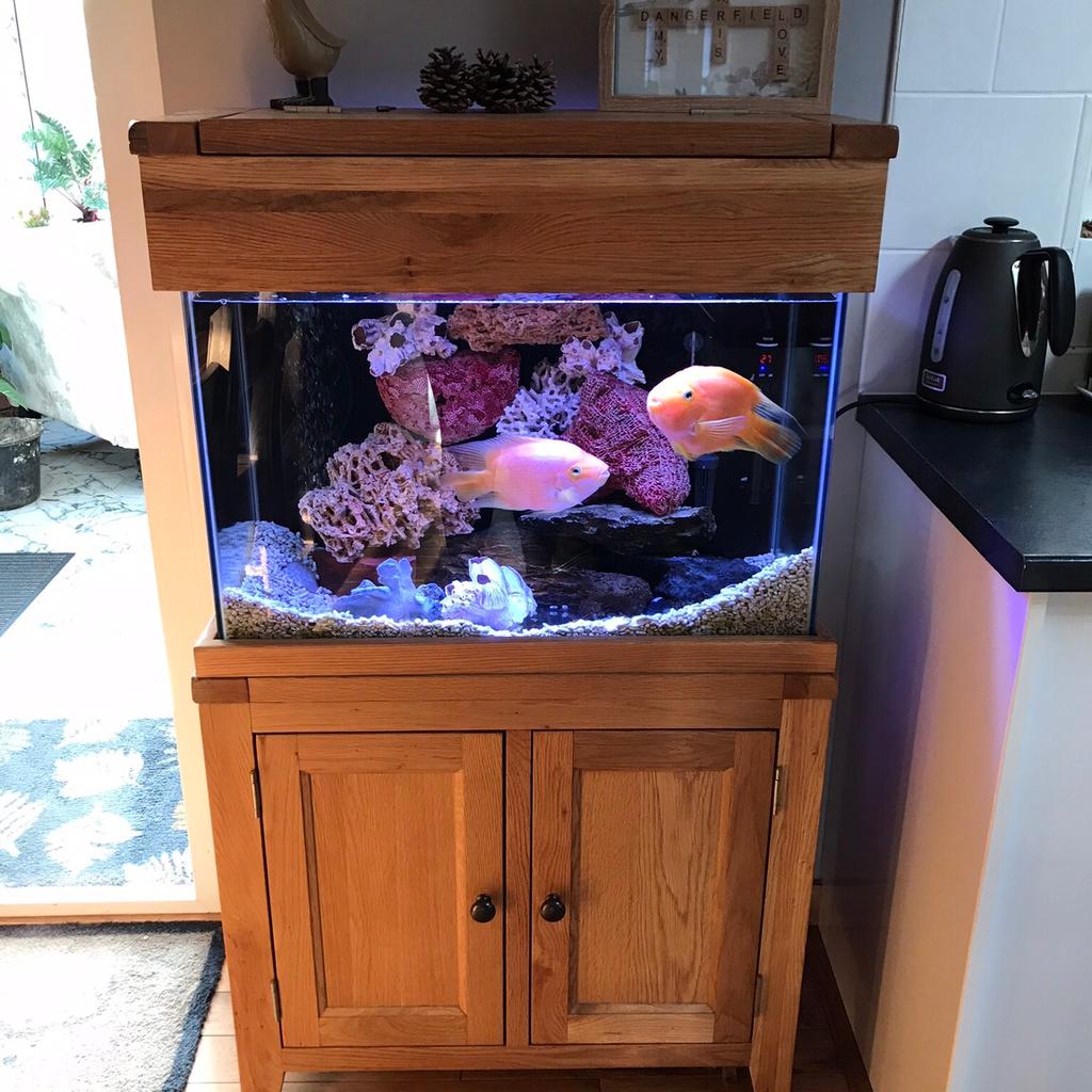 Aqua Oak Aquarium Fish Tank Maidenhead Aqua in NN15 Kettering für 250