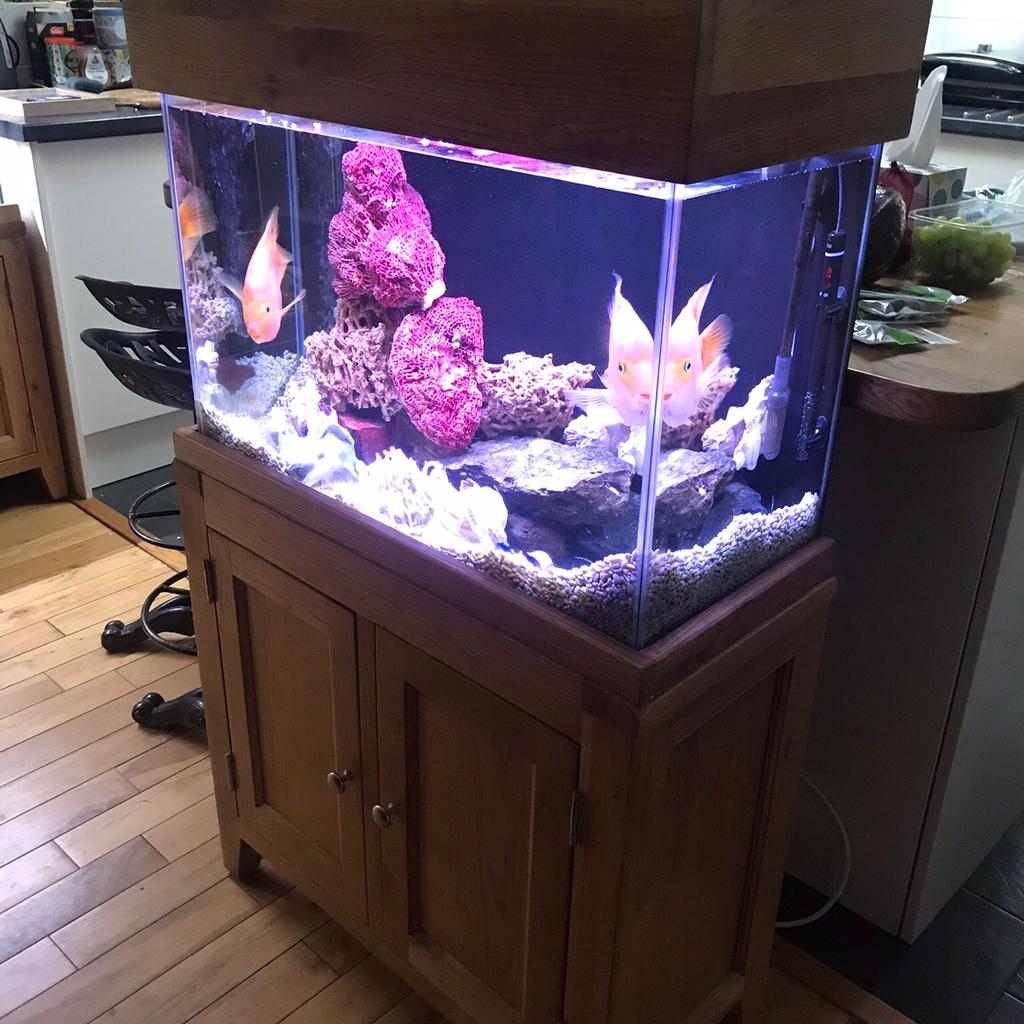 Aqua Oak Aquarium Fish Tank Maidenhead Aqua in NN15 Kettering für 250