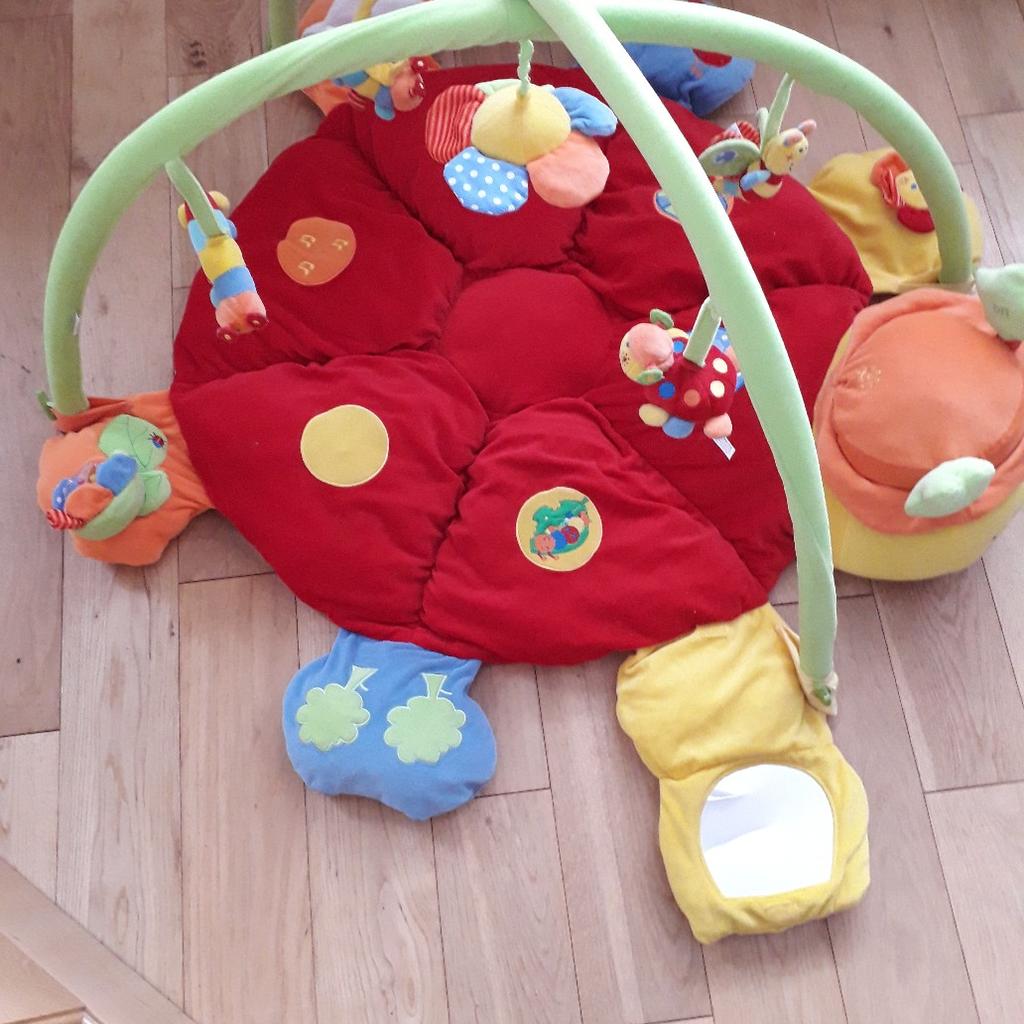 Lotty ladybird playmat and hot sale gym