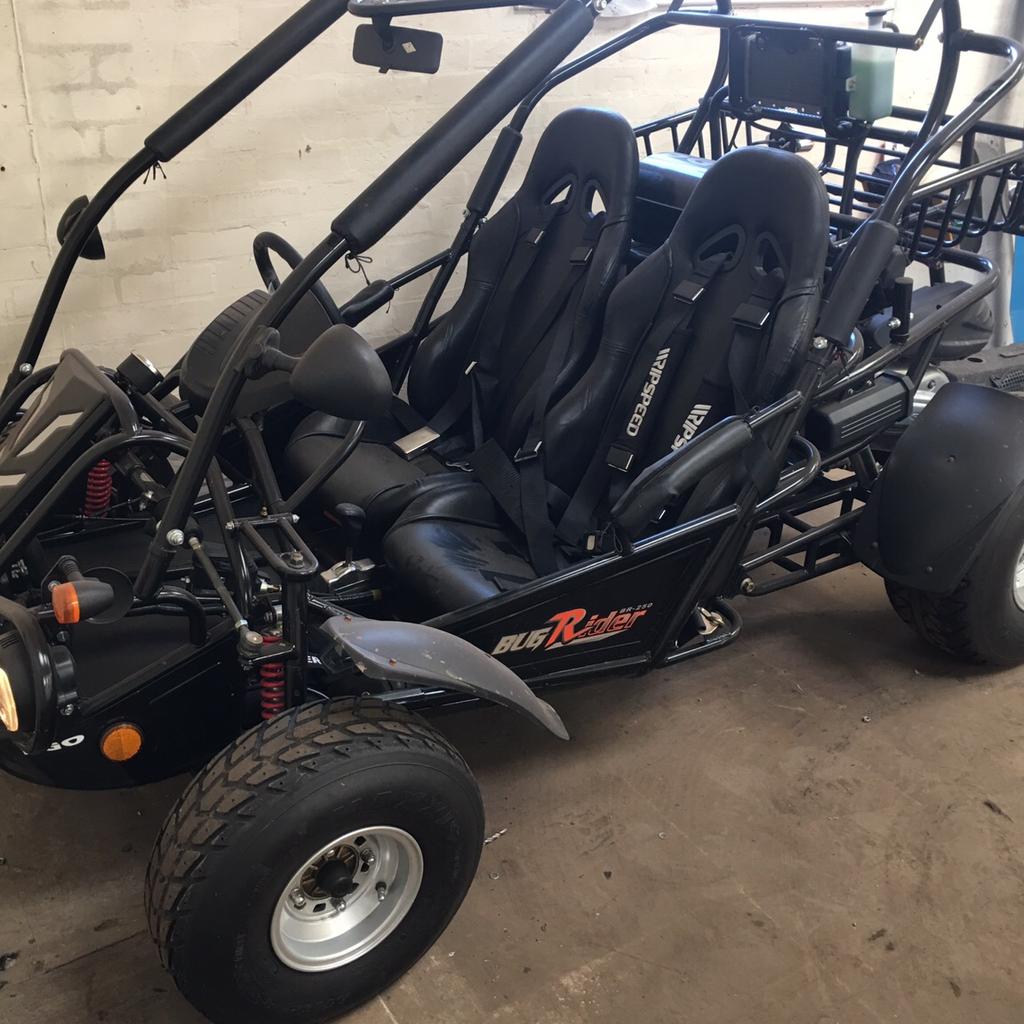 Quadzilla cheap buggy 250cc