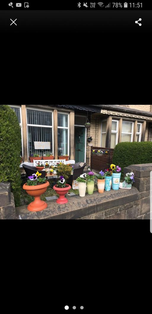 Buy & Sell West Bowling Bradford - Photos for plants for sale