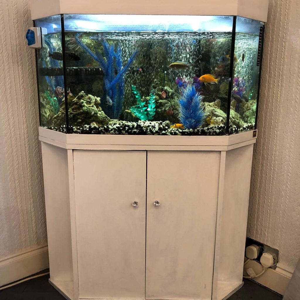 Fish Tank and Stand for sale in Basildon für 70,00 £ zum Verkauf ...