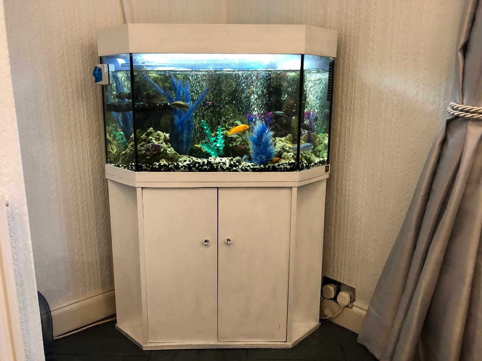 Fish Tank and Stand for sale in Basildon für 70,00 £ zum Verkauf ...