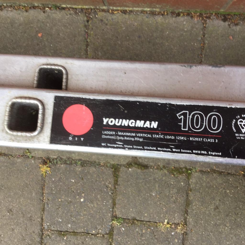 Youngman ladders 100, in WF1 Wakefield für 50,00 £ zum Verkauf | Shpock DE