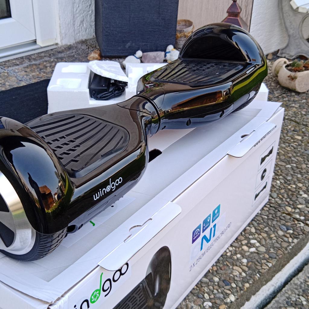 Hoverboard discount windgoo n1