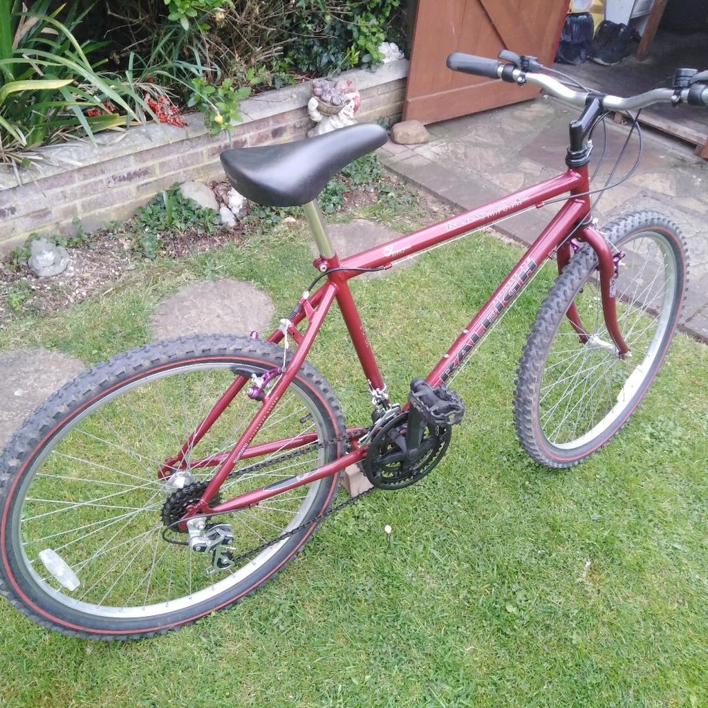 Raleigh Avalanche Mens Mountain bike in Houghton Conquest for