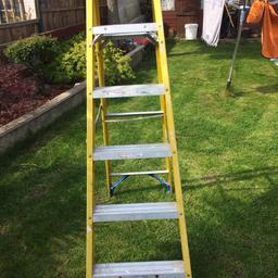 Fibreglass ladder 6 step,been used shows signs of paint and plaster on it does not effect use