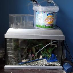 fish tank for tropical fish, thermostat pump lights filters